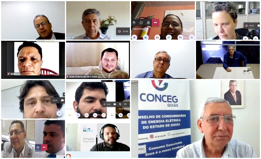 #PraTodoMUndoVer: A imagem mostra uma reunião com vários participantes do Conselho de COnsumidores de Energia Elétrica do Estado de Goiás