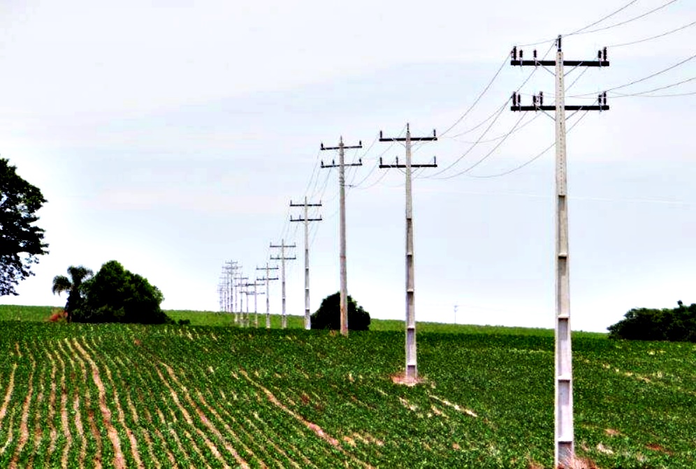 Revisão Rural CONCEG Notícias