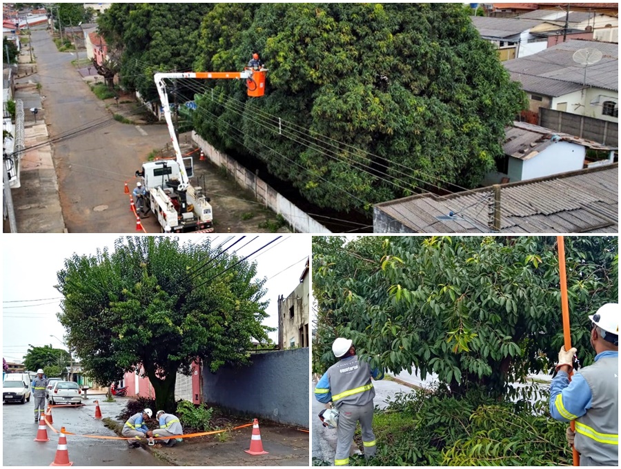 Equatorial poda em Anápolis CONCEG Notícias