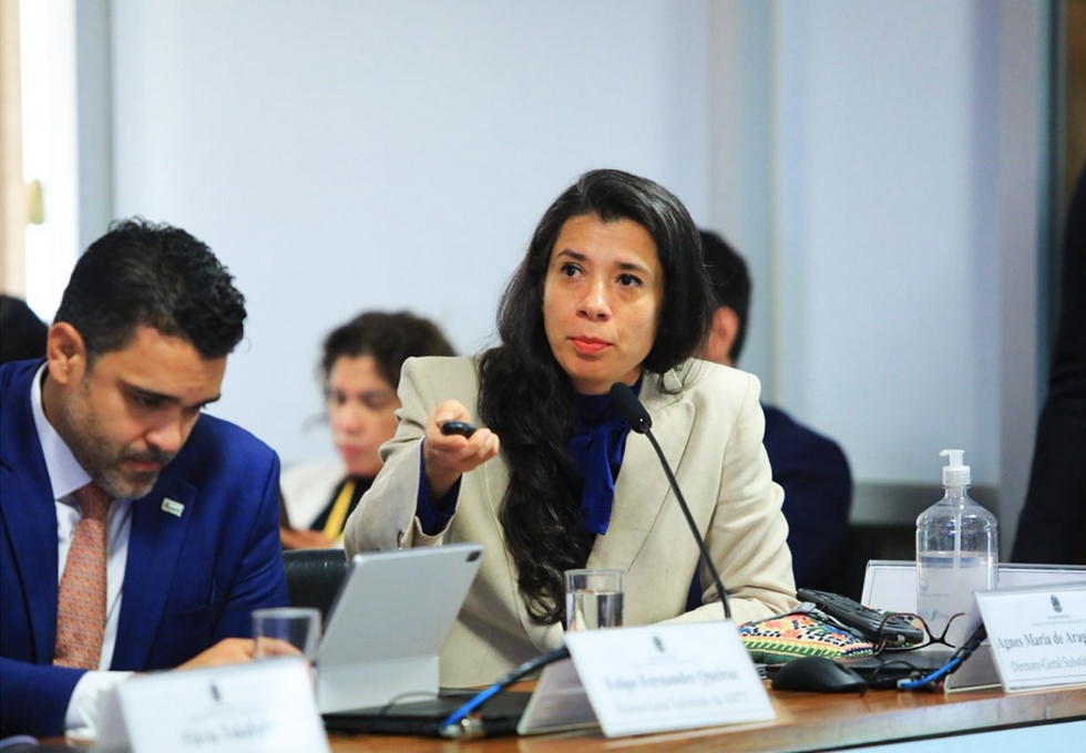 Audiência Senado- ANEEL