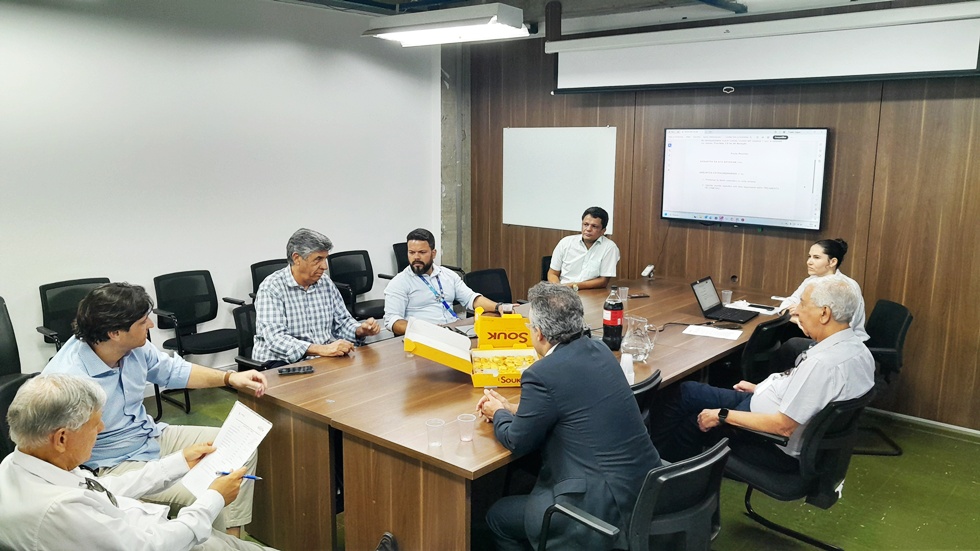 Reunião Conselho de Consumidores de Energia Elétrica- Conceg