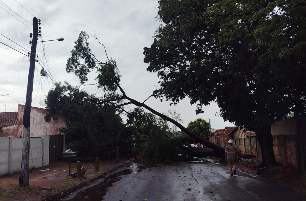 Temporais- Rede Elétrica- Equatorial Goiás
