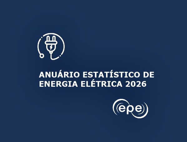 Anuário Estatístico Ilustração Site Conceg