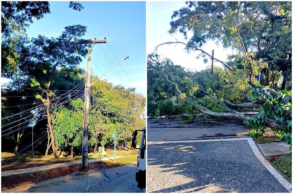 Temporais- Equatorial Goiás Divulgação