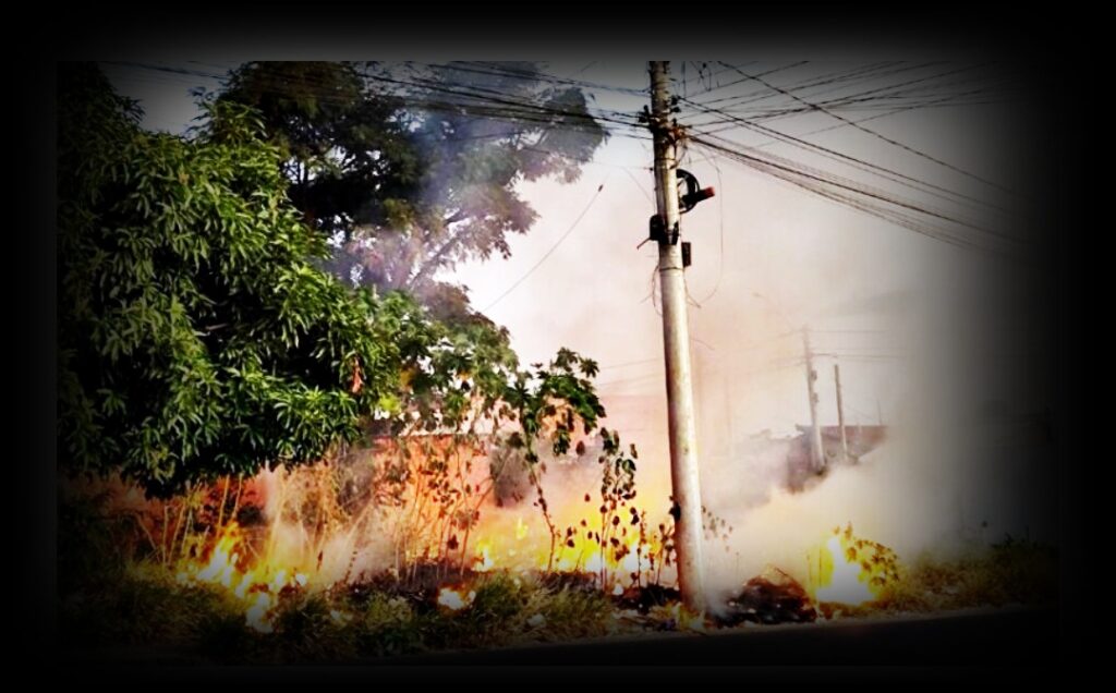 Incêndio próximo de rede eléwtrica- imagem da internet