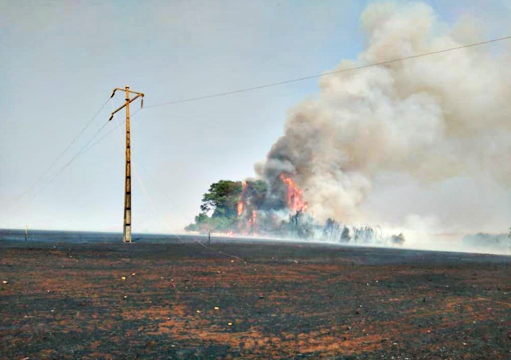 Queimadas na rede elétrica - Equatorial Goiás